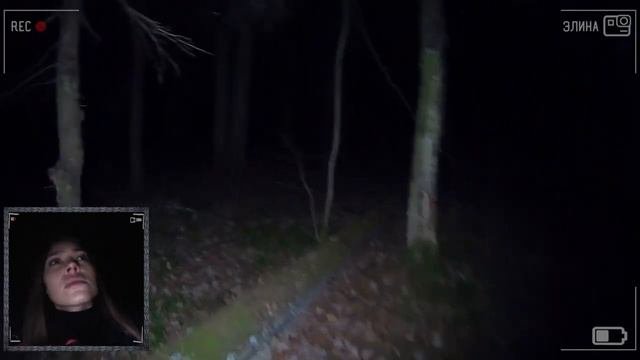 ЛЕС САМОУБИЙЦ, 24 ЧАСА В ЛЕСУ