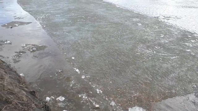 НИВА, весна! смотреть онлайн