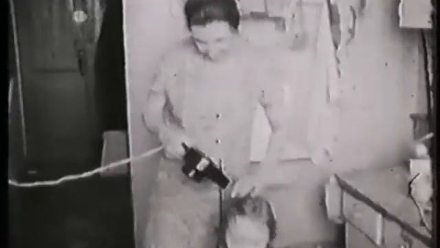 Московская коммуналка смотреть онлайн