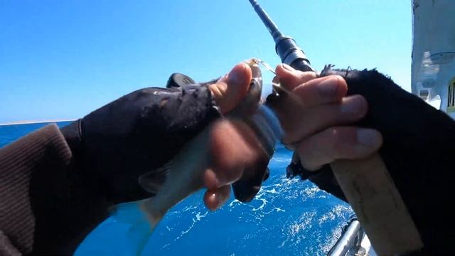 Как я ПОПАЛ НА РЫБАЛКЕ в Египте! смотреть онлайн