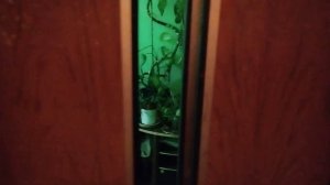 Пассажирский лифт "А" 400 кг, 1 м/с, КМЗ-1994 г (@ г. Москва, Жулебинский бульвар, 6/11, под-7)