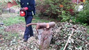 Chainsaw ECHO CS-3500