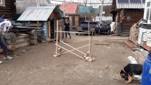 Тренировка на хоббихорсах. Прыгаем 105 см