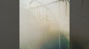 Обработка теплицы от плесеней, препарат "РааБокс"