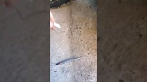 Днепр установка зажигания.