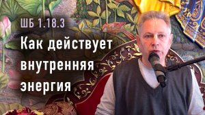 01.06.2024 Шримад Бхагаватам 1.18.3 - Как действует внутренняя энергия. Е.М. Враджендра Кумар прабху