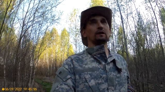 ГОЛУБИКА,ИНВИТРО ИЛИ ЧЕРЕНОК?