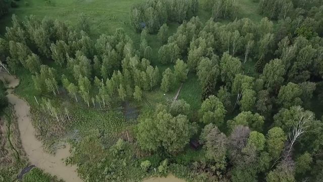 Экотропа «Заповедный лес»