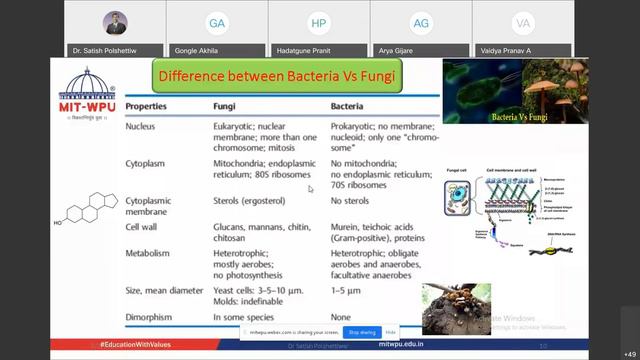 Introduction of #Fungi and its #Medical /Pharmaceutical importance смотреть онлайн