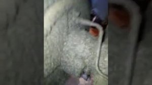 течёт сальник задней левой полуоси на ниве Шевроле.