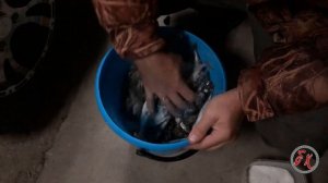 Ставрида на мангале. Рыбалка.