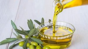Zaytun yog'i Foydasi va Zarari haqida