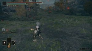 Elden Ring "Sword Mastery - Total Combat Overhaul" Mod Moveset Showcase (v1.0 Build)