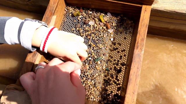 Поездка на ферму Shady brook farm смотреть онлайн