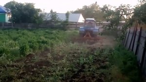 Дискование бурьянов Мтз 80 и садовые  диски!