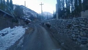 Жаш-Кыял - О менин гулум