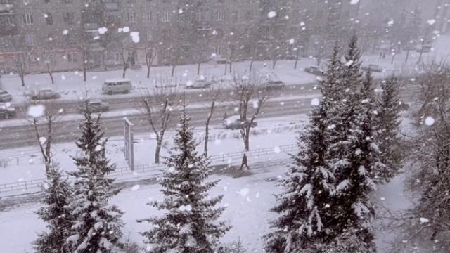 Джанго. Хороводит снег с дождем.