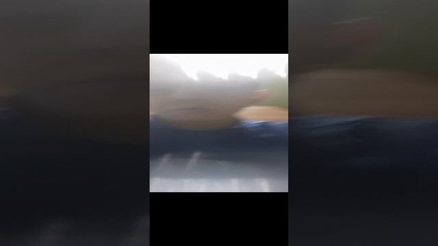 влог