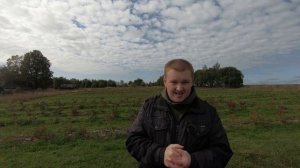 На каком расстоянии садить голубику // Голубика для начинающих. Часть 5