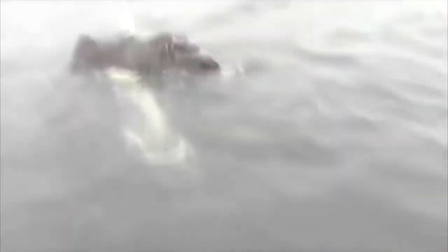 ДОБРЫЕ ПОСТУПКИ ЛЮДЕЙ ПОДБОРКА ЛУЧШИХ МОМЕНТОВ HUMAN KINDNESS COMPILATION BEST MOMENTS смотреть онлайн