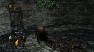 Dark souls 2  Прохождение #14 Железная цитадель ч2