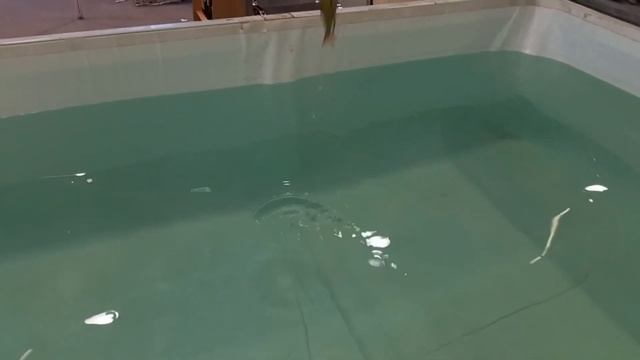 Выставка Охота и рыболовство на Руси 2022 смотреть онлайн