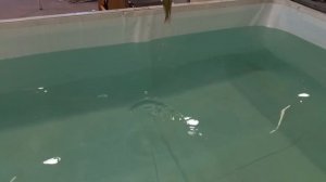 Выставка Охота и рыболовство на Руси 2022