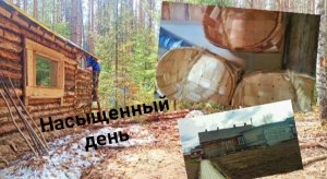 А я оказывается устаю! Таёжные дела переходят в деревенские. Building a house in the forest. DIY