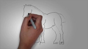 Лошадь рисунок карандашом. КАК поэтапно НАРИСОВАТЬ ЛОШАДЬ