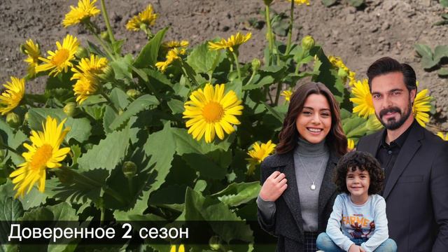 Доверенное 315! Ты был моим лучшим сном, ты стал моим кошмаром! смотреть онлайн