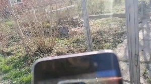 Продажа жилых домов /Дачи/Краснодарский край