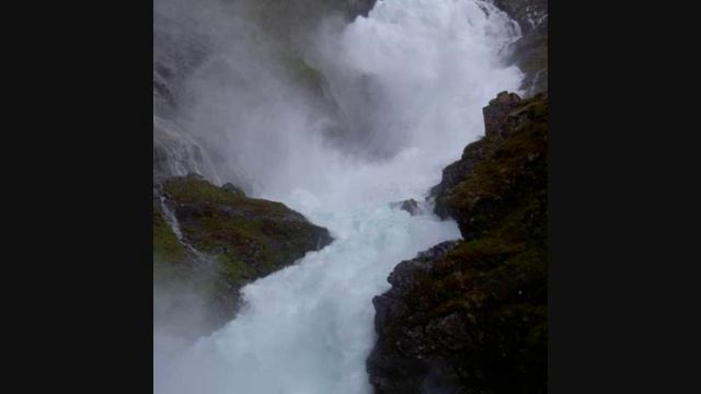 White Apple Tree - Clarity