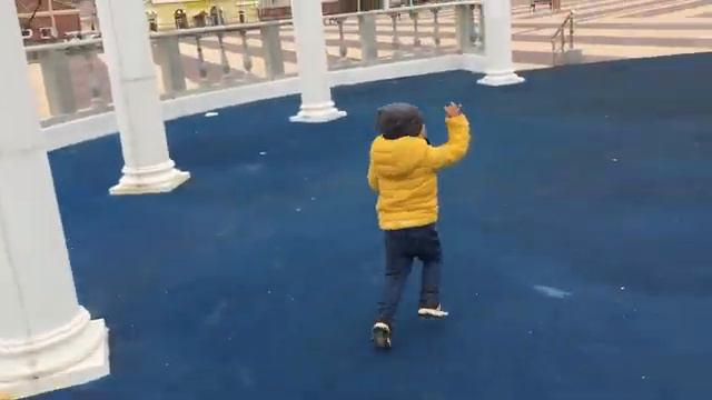 Город Невельск. Город Невельск, лежбище сивучей.