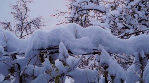 Зимний Релакс, идет снег, Relax,природа hd