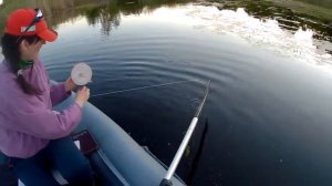 Ловля щуки в мае на живца.