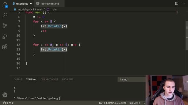 Golang Tutorial #10 - For Loops & While Loops