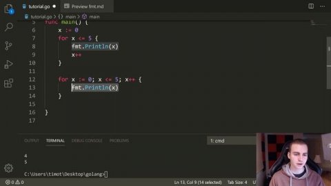 Golang Tutorial #10 - For Loops & While Loops