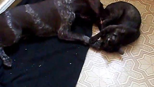 SDC14739 смотреть онлайн