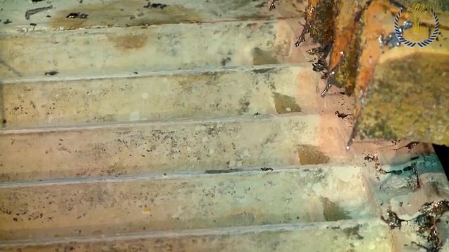 ВКТУ УНИВЕРСИТЕТ, УСТРЕМЛЕННЫЙ В БУДУЩЕЕ смотреть онлайн