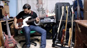 Review Bass Bach Custom Fretless