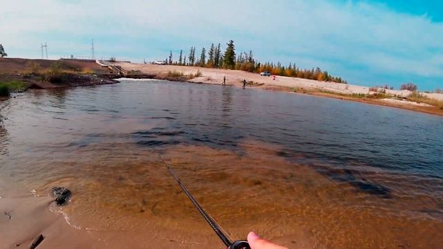 Ловля язя на лайт спиннинг(Лимбяяха) смотреть онлайн