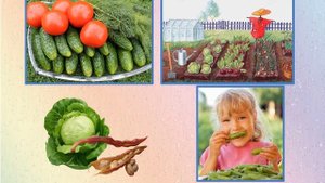 Мнемотаблица "Осень   гостья дорогая" (плюс). Музыка и слова Л.  Олифировой