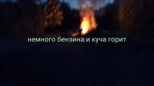Куда деть спиленные ветки со своего участка