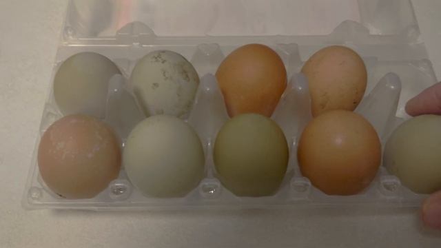 Зеленые куриные яйца смотреть онлайн