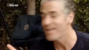 СЪЕЛ 40 ЧЕЛОВЕК ,ВЫЛОВИТЬ ЛЮДОЕДА ОПАСНАЯ МИССИЯ ОХОТНИКОВ НА ЛЬВА