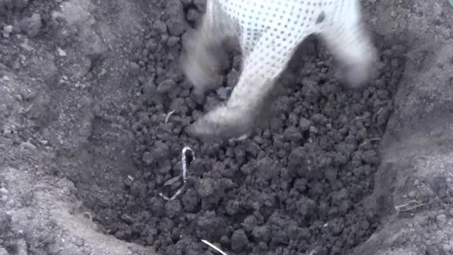 Посадка помидор, как садить томаты смотреть онлайн