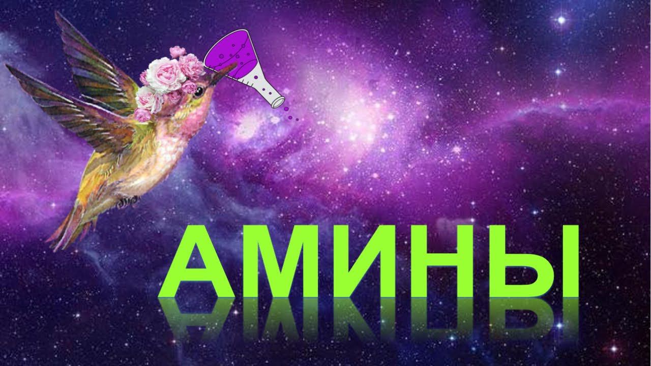 55. Амины (часть 1)