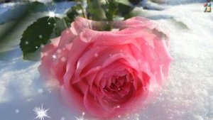 С Днем рождения, христианское поздравление