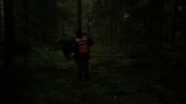 ПСО Лиза Алерт, Рязань смотреть онлайн