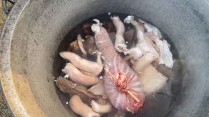 Cooked lamb tripe . Дотур (бараньи внутренности)на костре